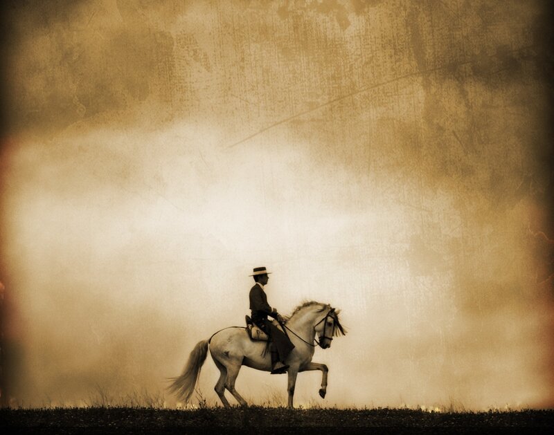 Rider on White Horse — Sepia