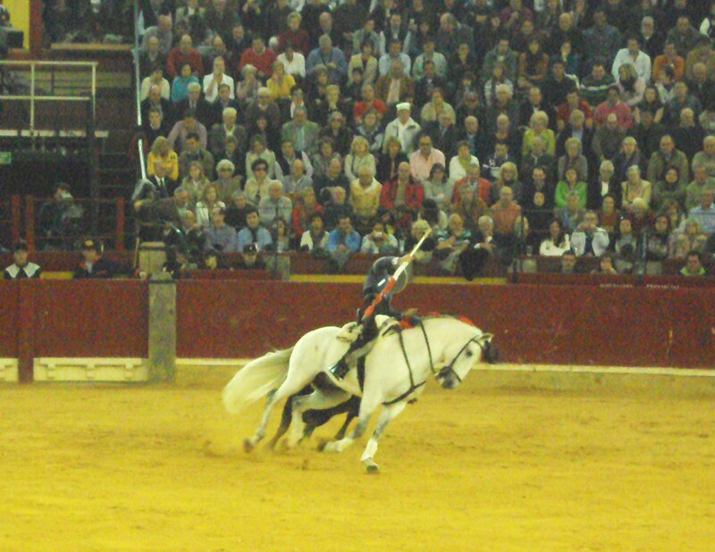 Rider on White Horse