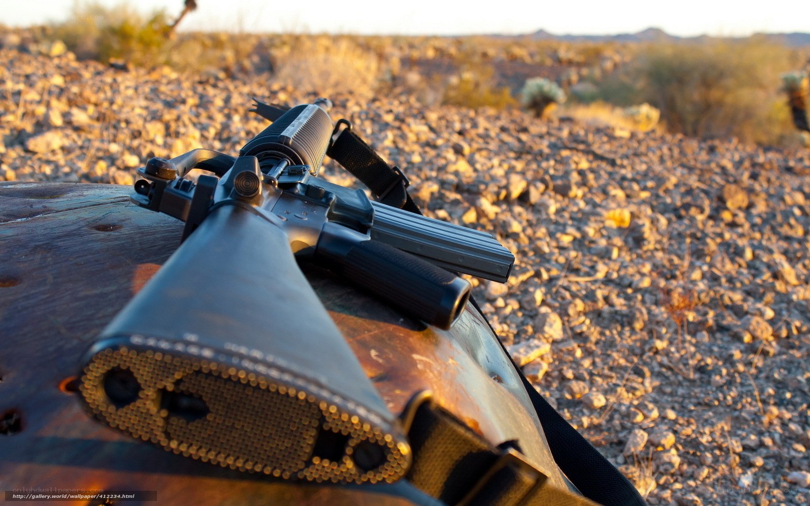rifle in desert landscape