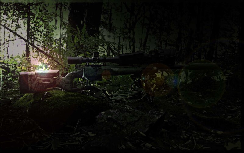 rifle in forest at night