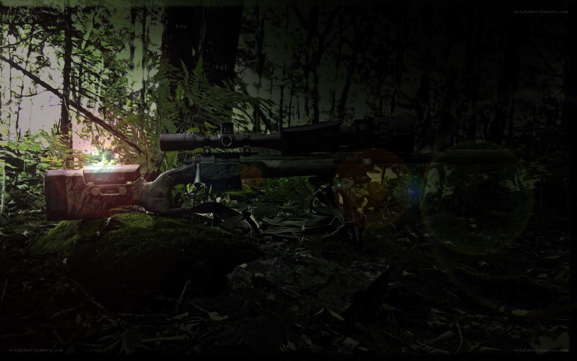rifle in forest at night