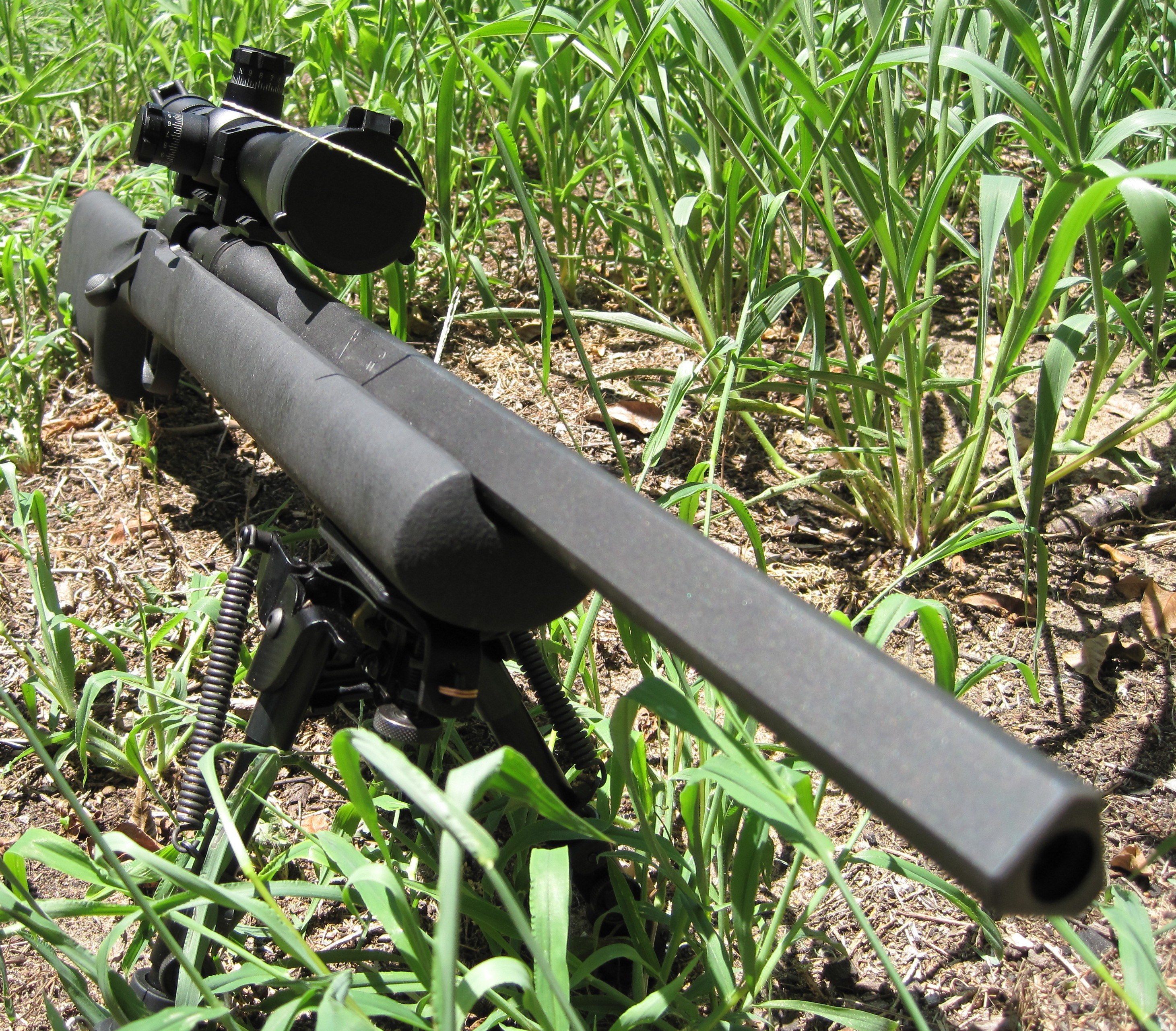 rifle in grass