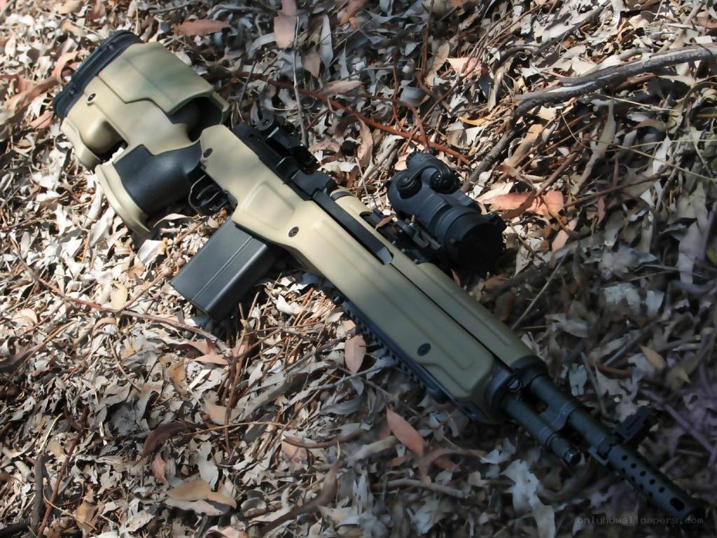 rifle in leaf litter