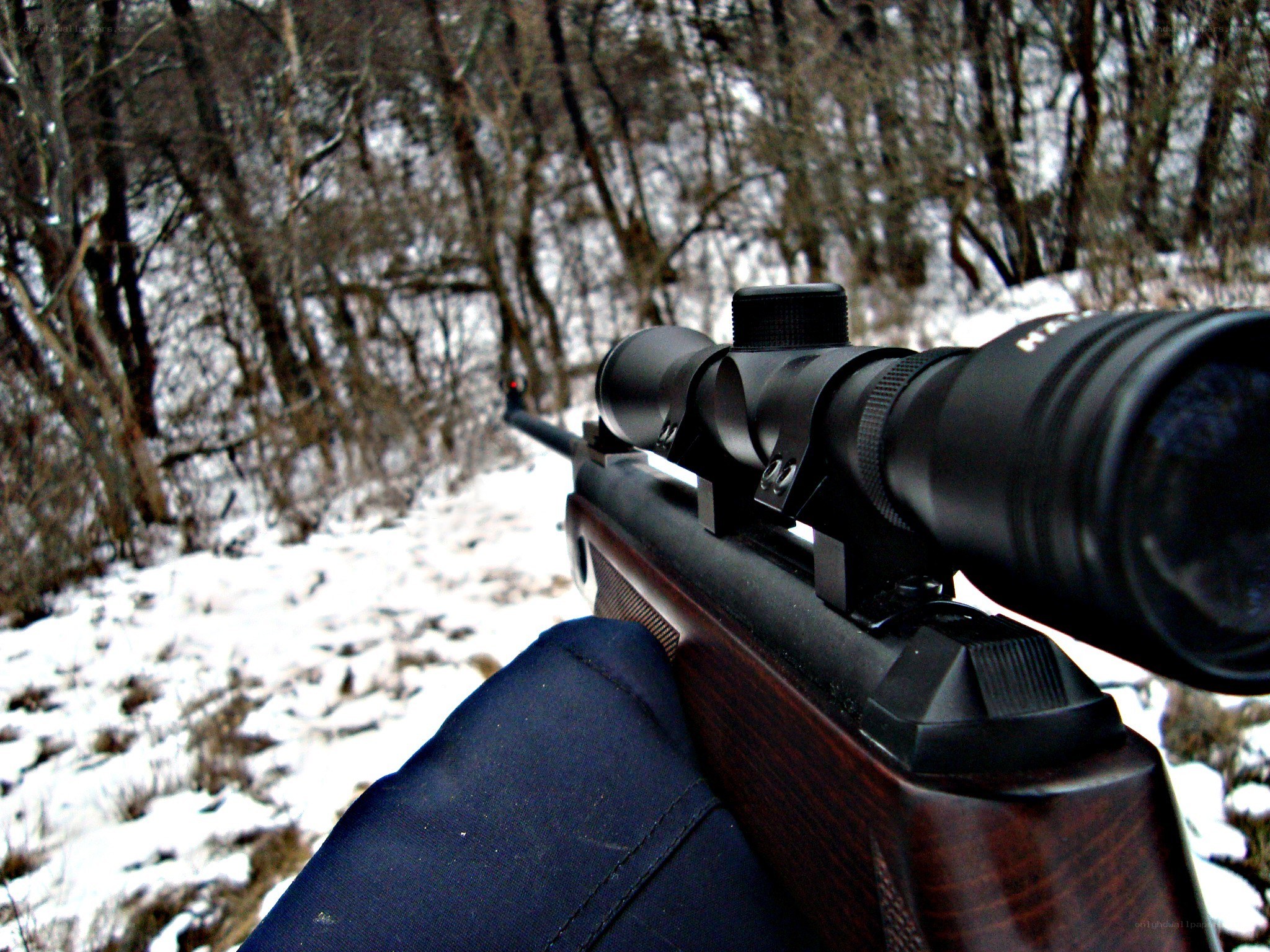 rifle in snowy forest