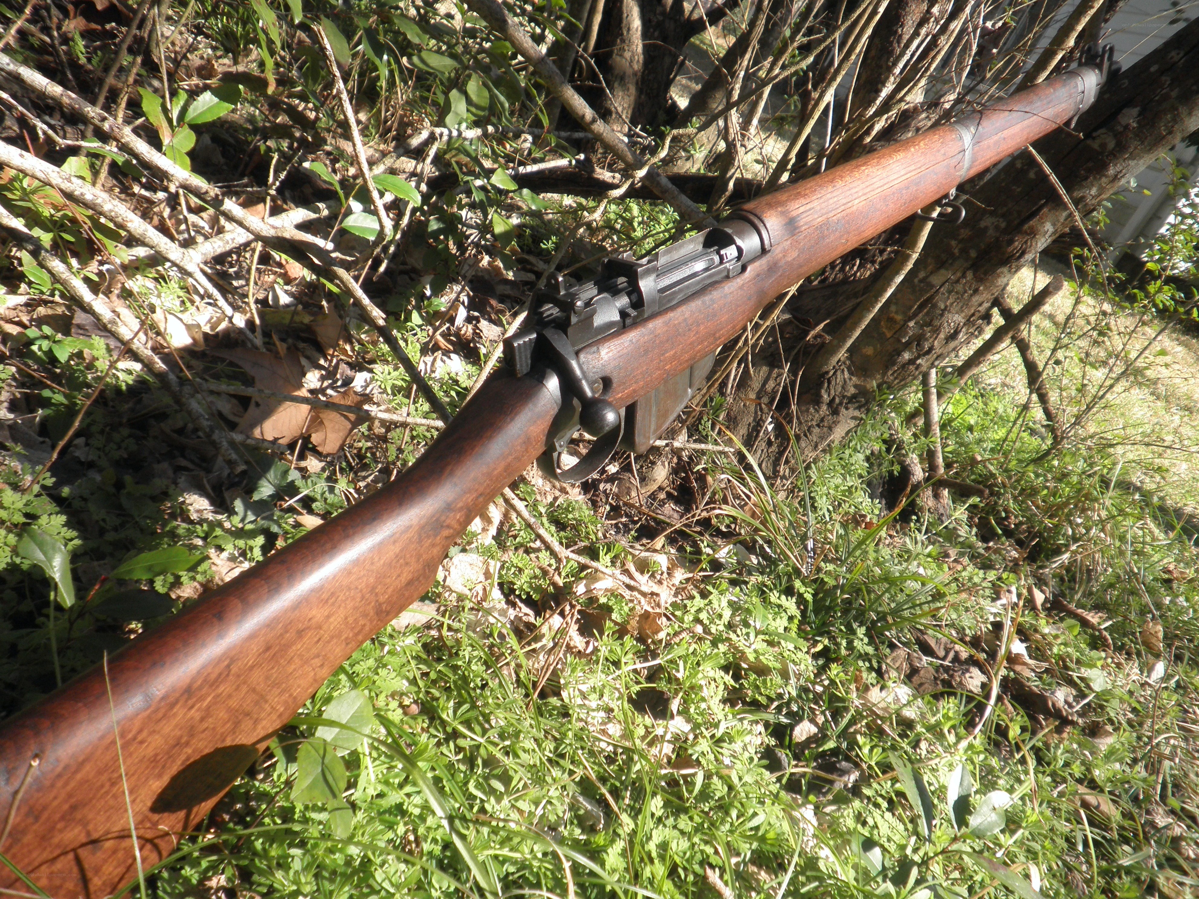 rifle in the woods