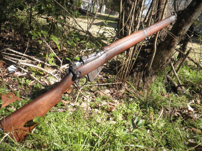 Rifle in wooded area