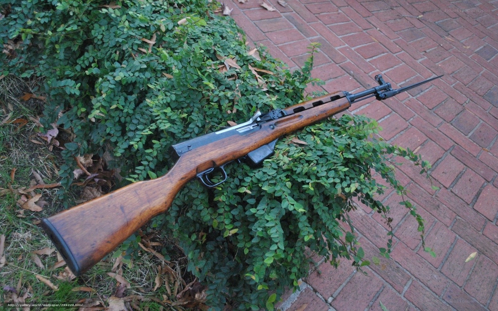 rifle on a bush