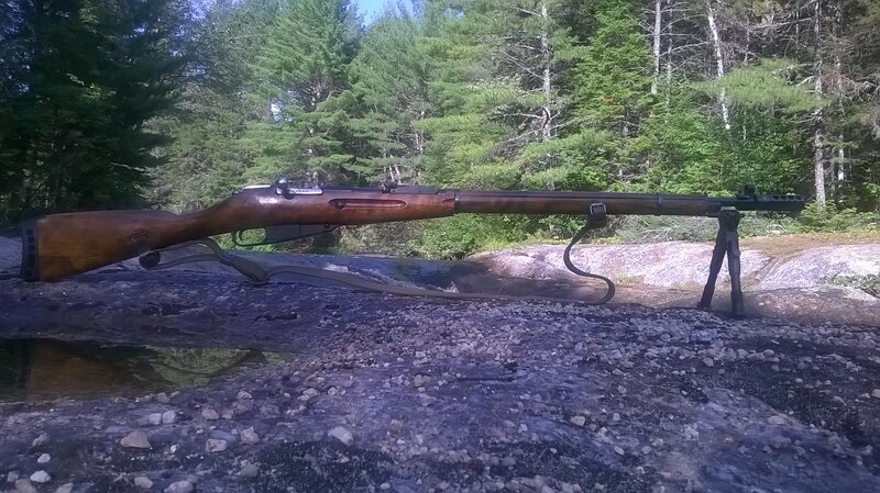 Rifle on a Log