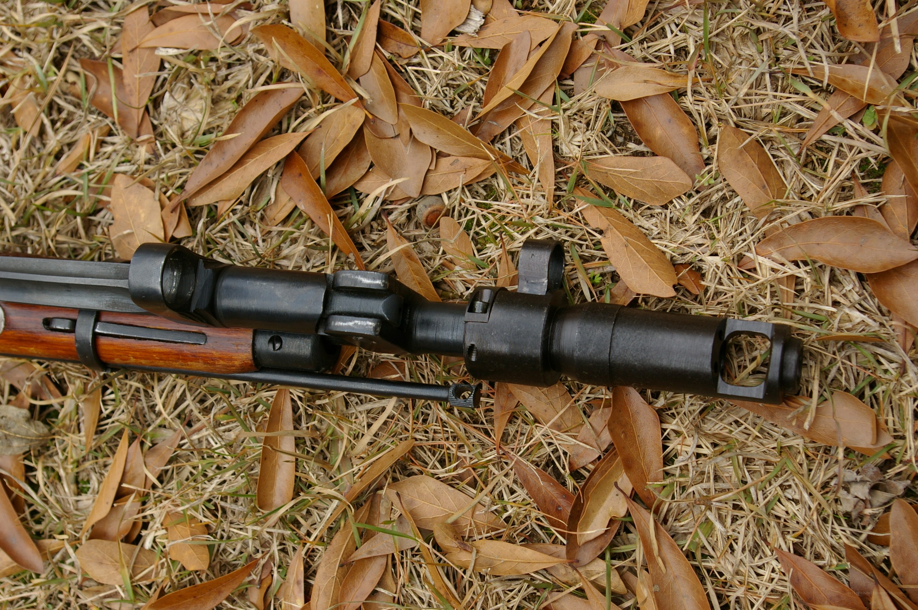 rifle on autumn leaves