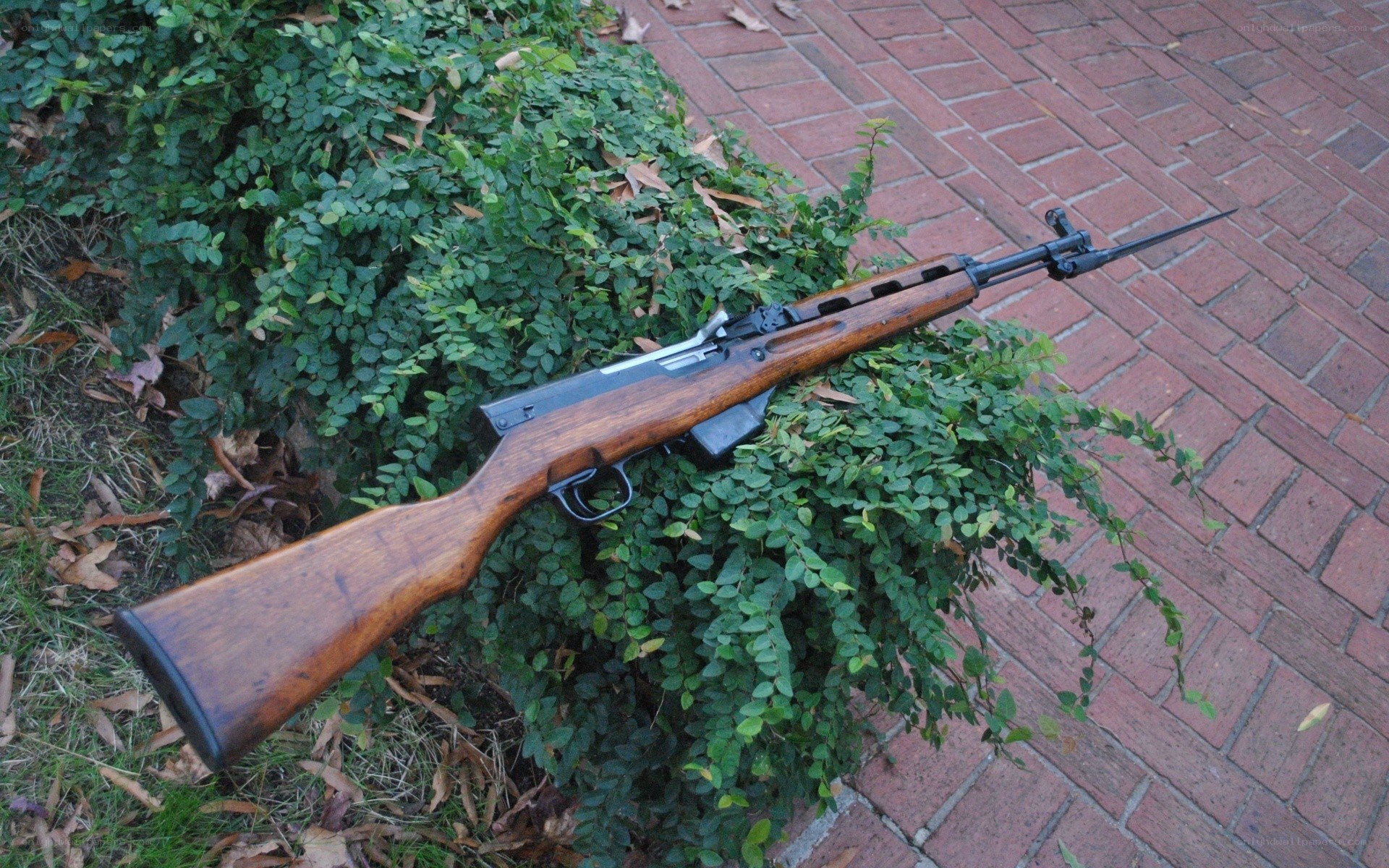 rifle on green bush