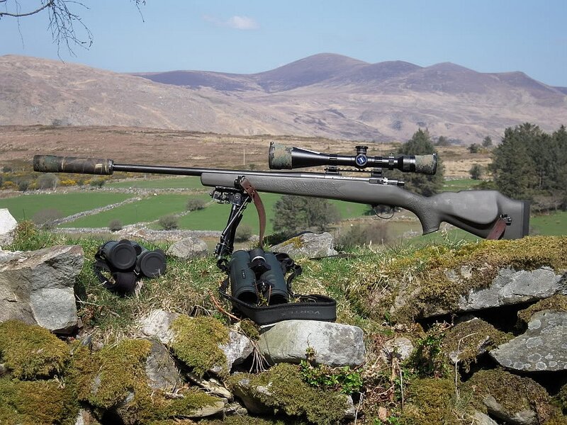Rifle on Stone Wall — Green
