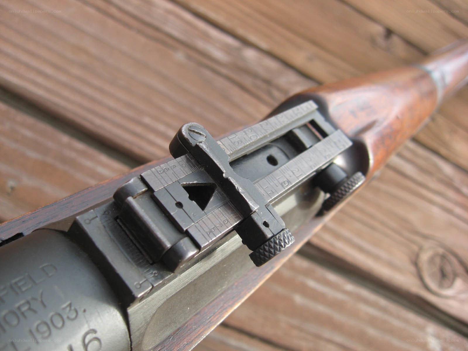 rifle rear sight close-up