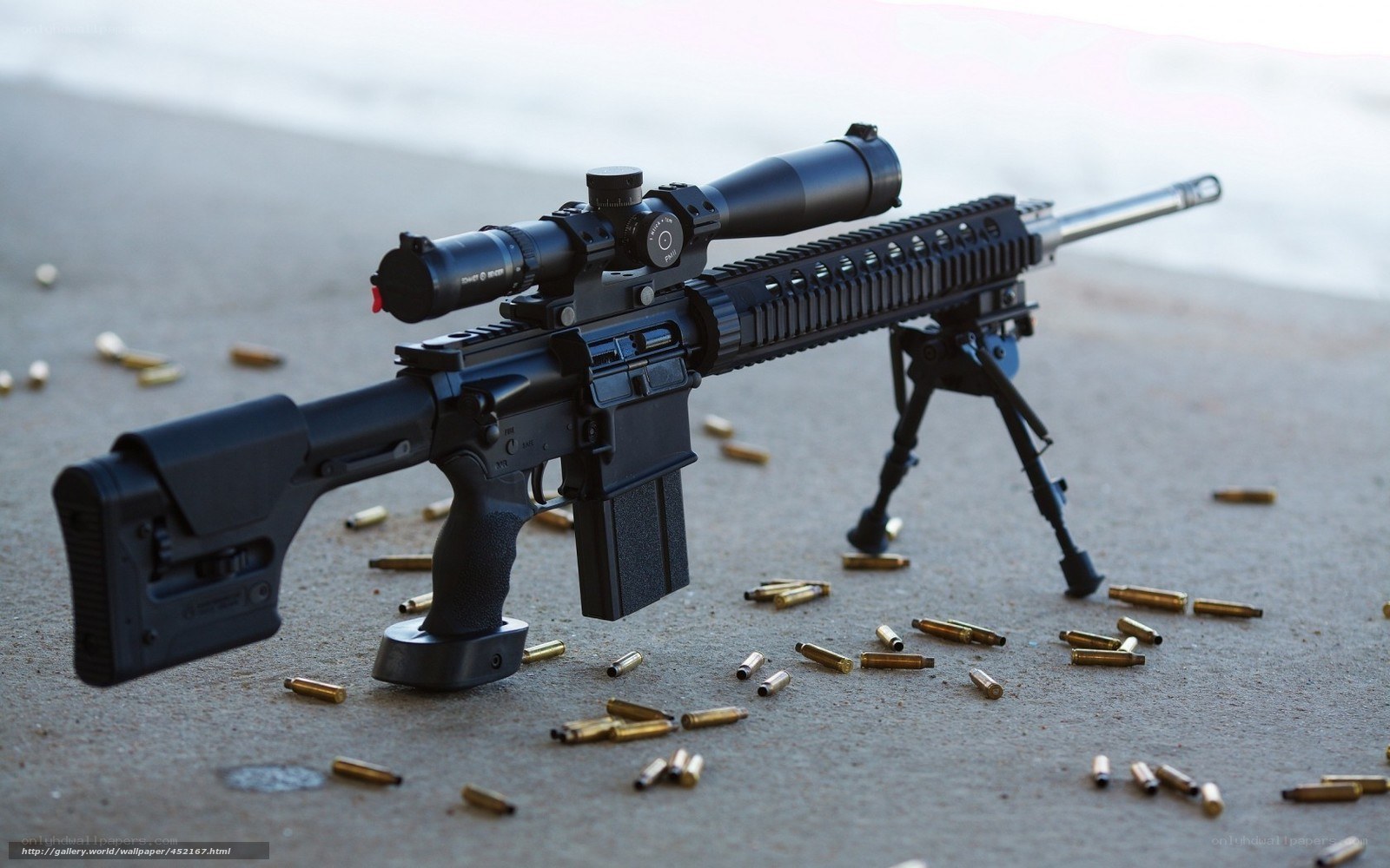 rifle with ammunition