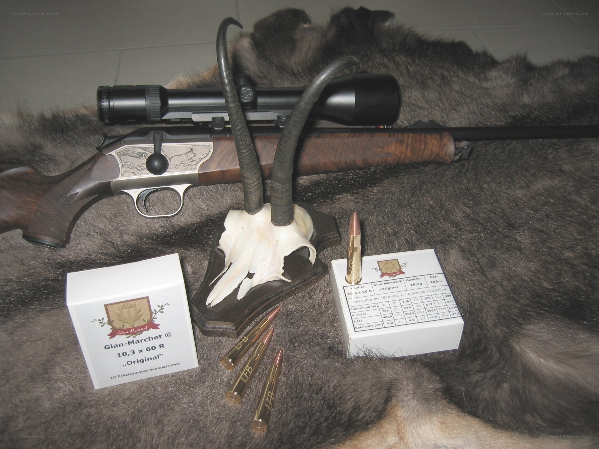 Rifle with ammunition and skull