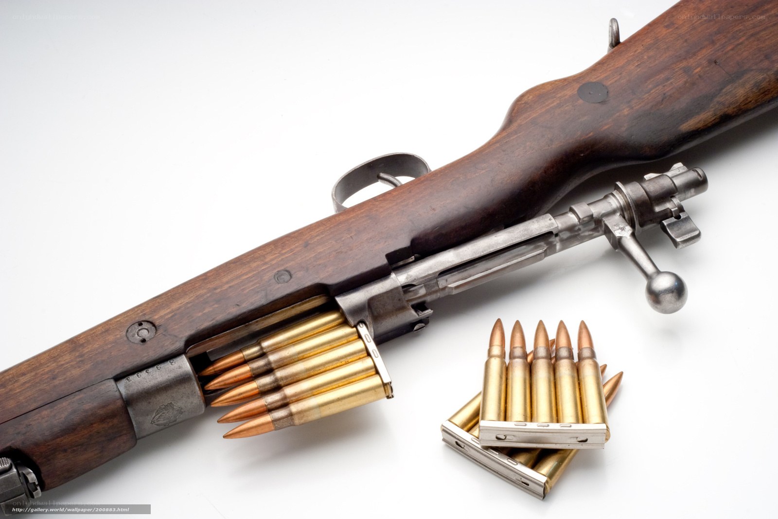 rifle with ammunition