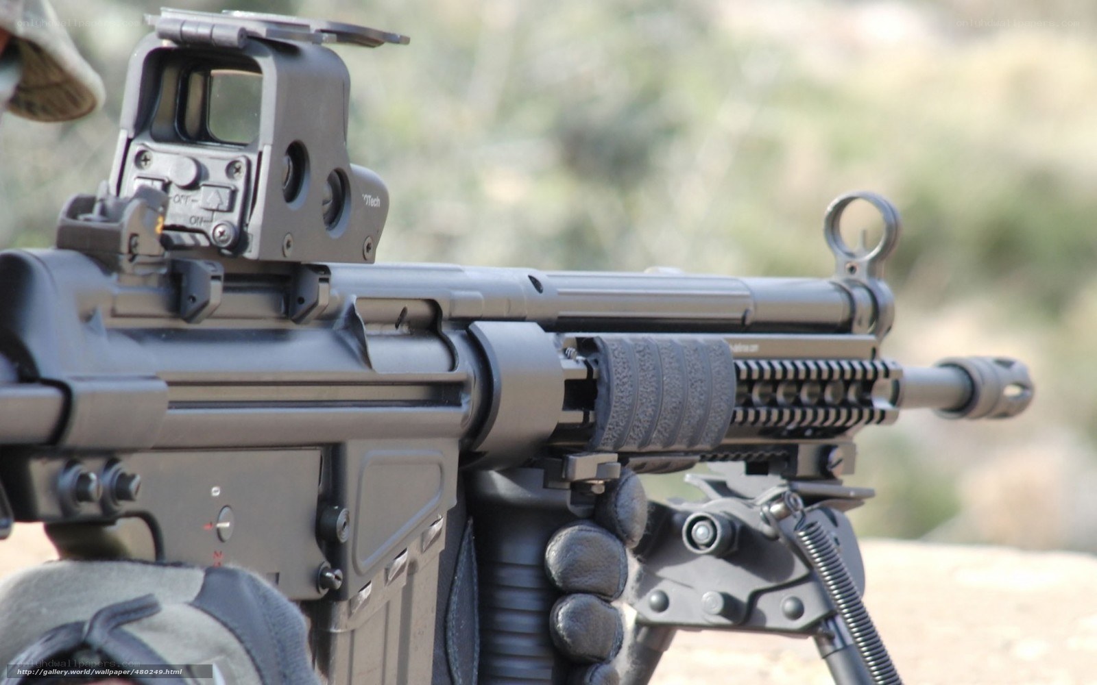 rifle with red dot sight