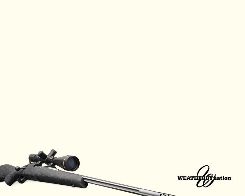 rifle with scope