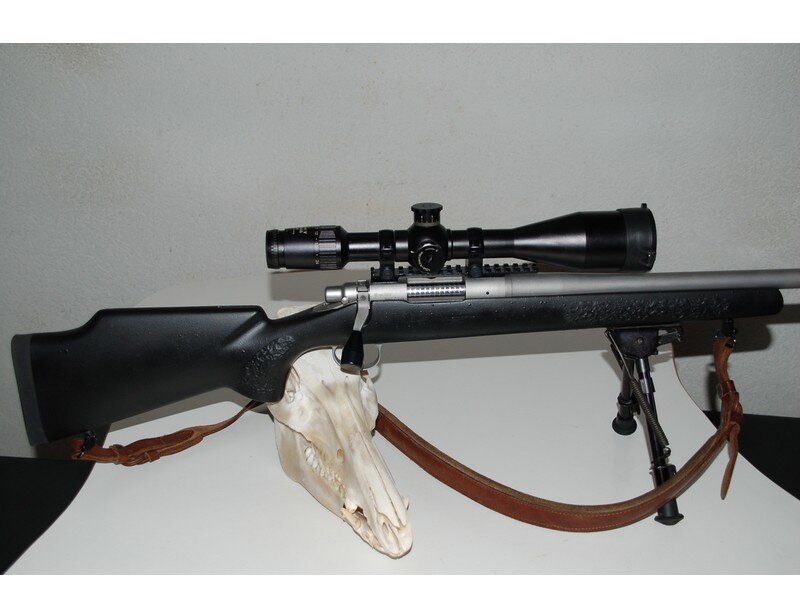 rifle with scope and skull