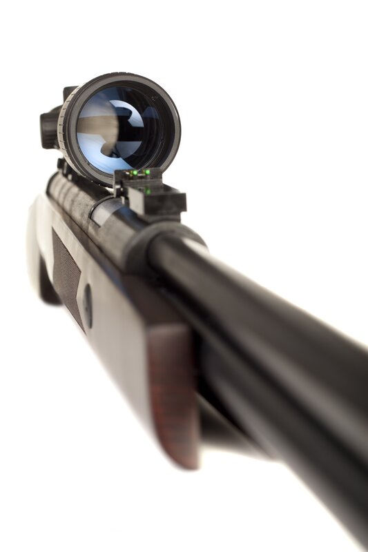Rifle with Scope — Black, Neutral, Photograph, Sights