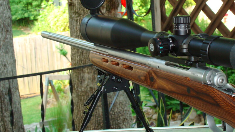 Rifle with Scope — Brown, Calm