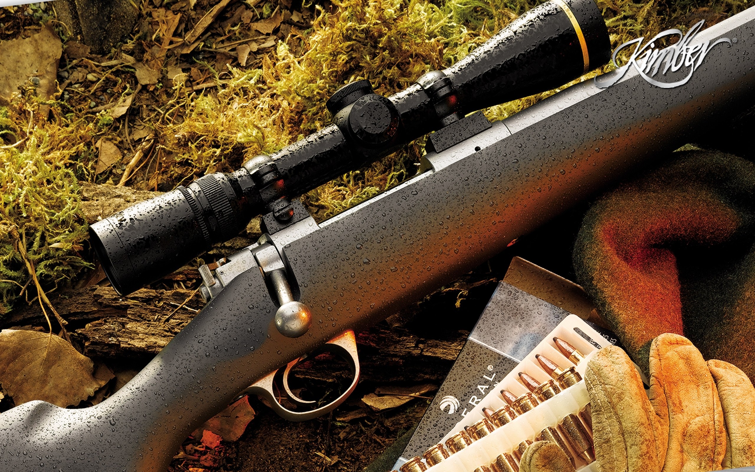 rifle with scope in forest