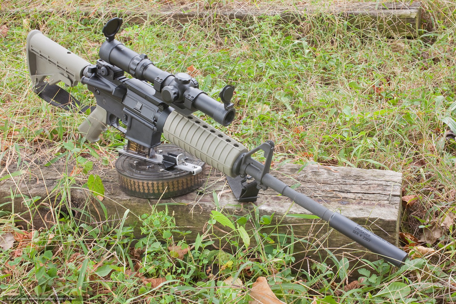 rifle with scope on log
