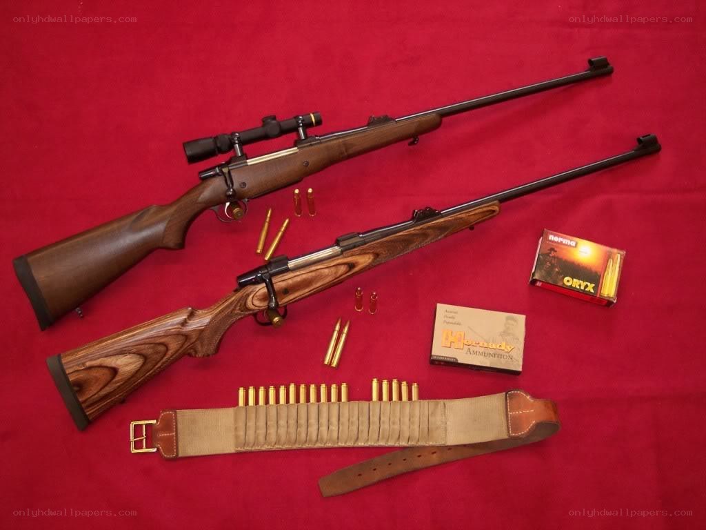 Rifles and ammunition display