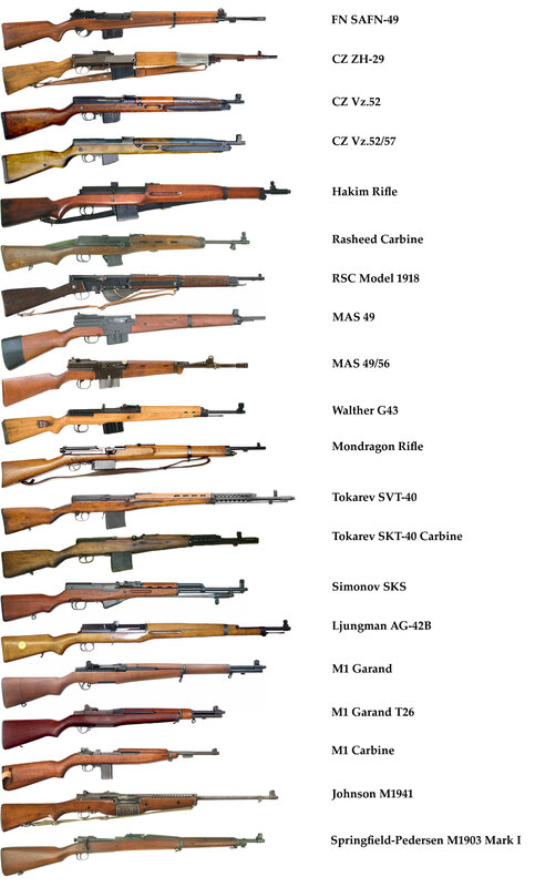 Rifles of the 20th Century