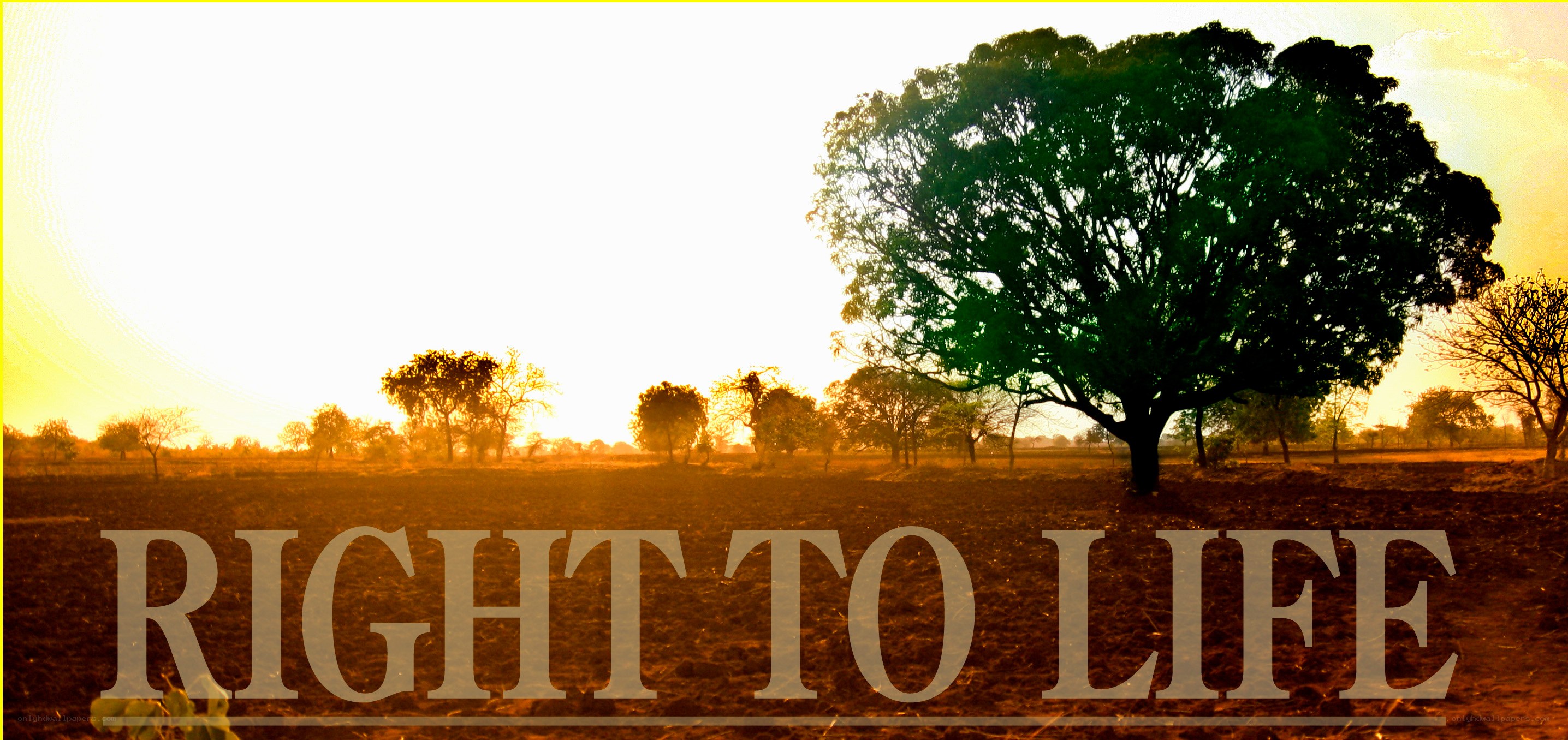 Right to Life banner