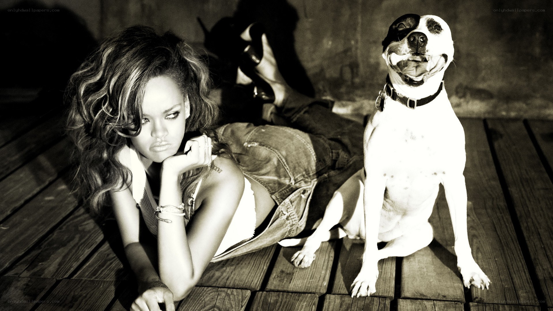 Rihanna with a dog