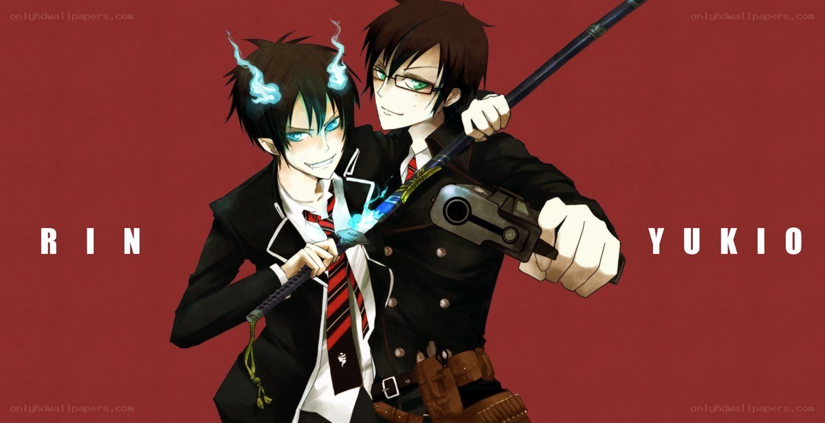 Rin and Yukio from Blue Exorcist
