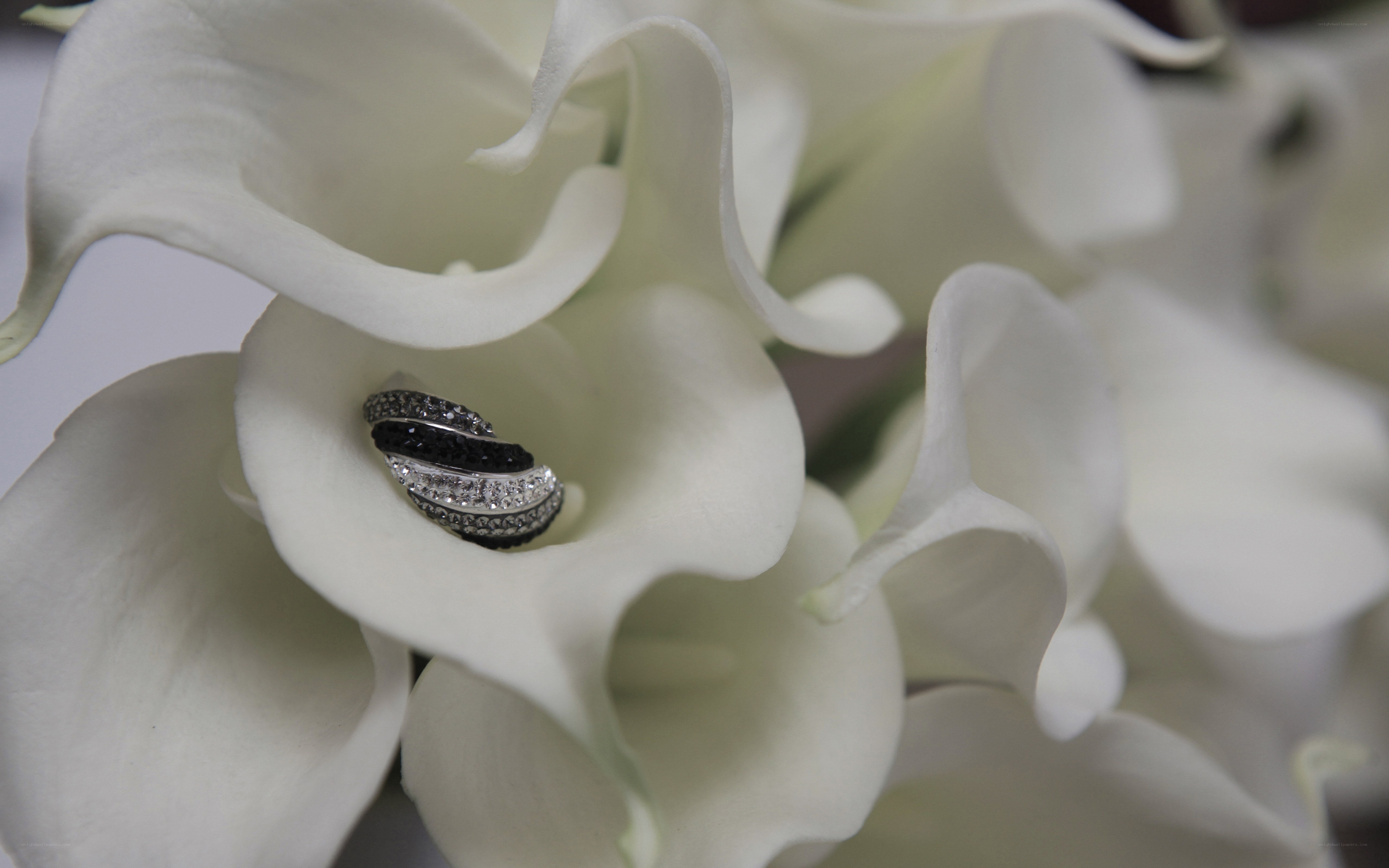 ring in white calla lily