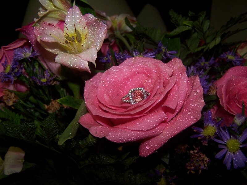 ring on a pink rose