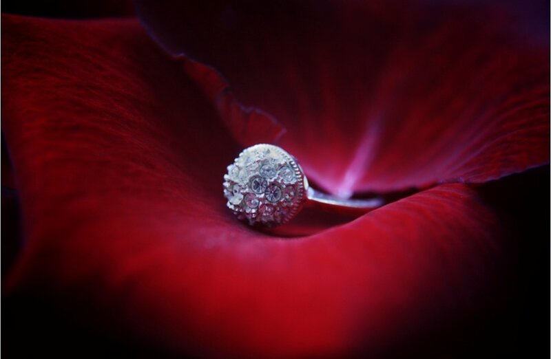 ring on red flower petal