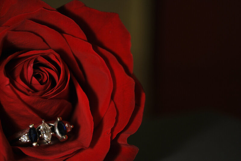 ring on red rose