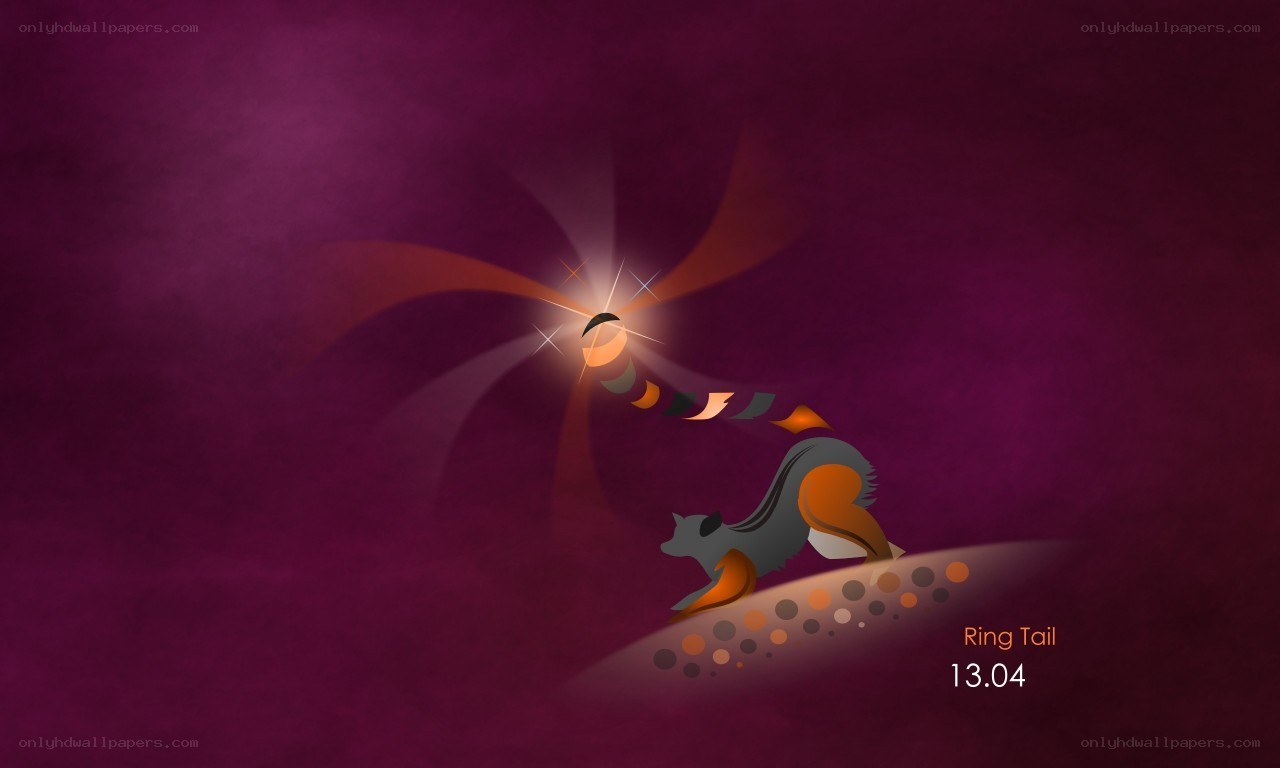 Ring Tail animal illustration