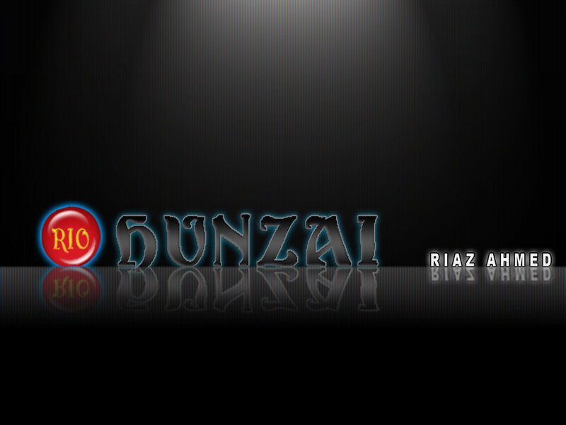 Rio Dunzai logo design