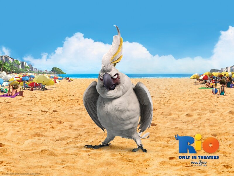 Rio movie beach scene
