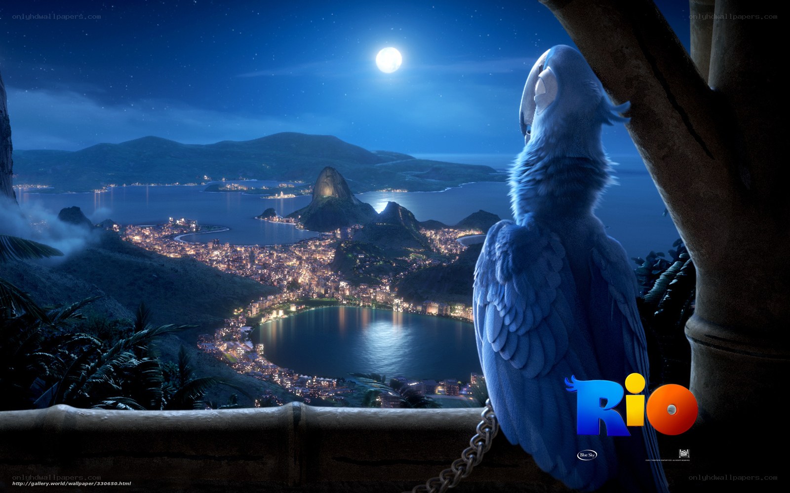Rio movie night scene