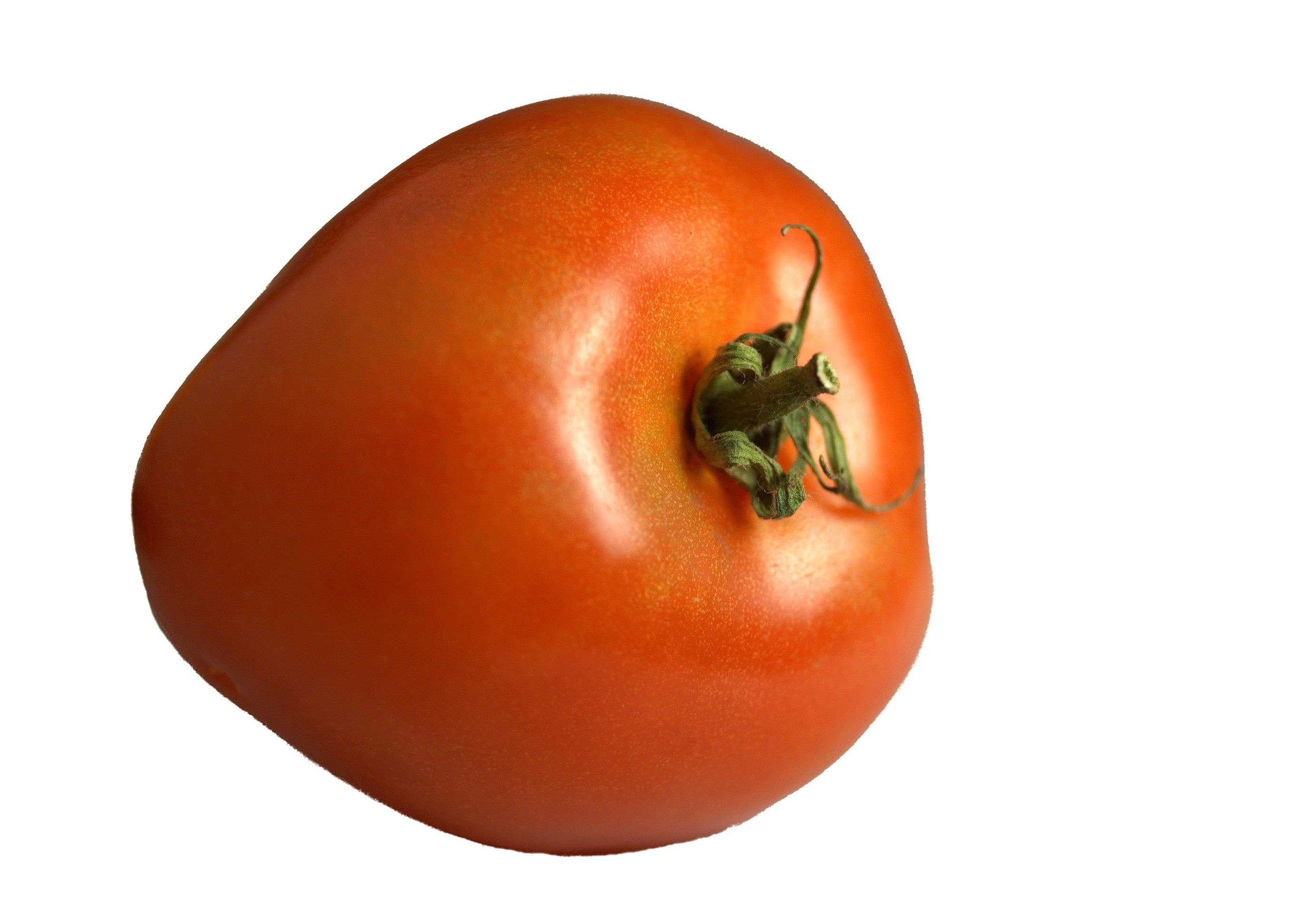 ripe red tomato