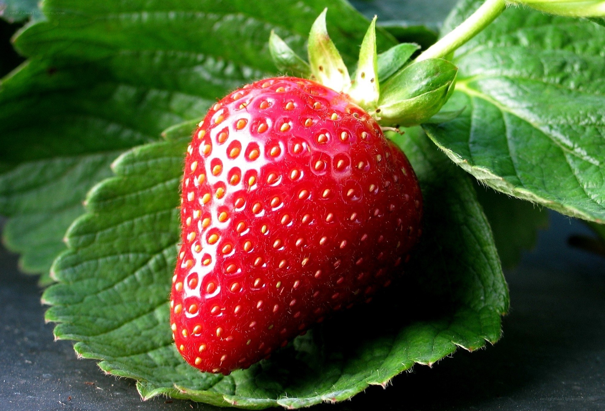 ripe strawberry on green leaf
