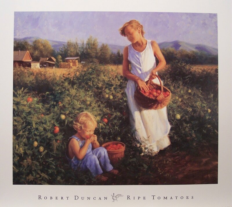 Ripe Tomatoes