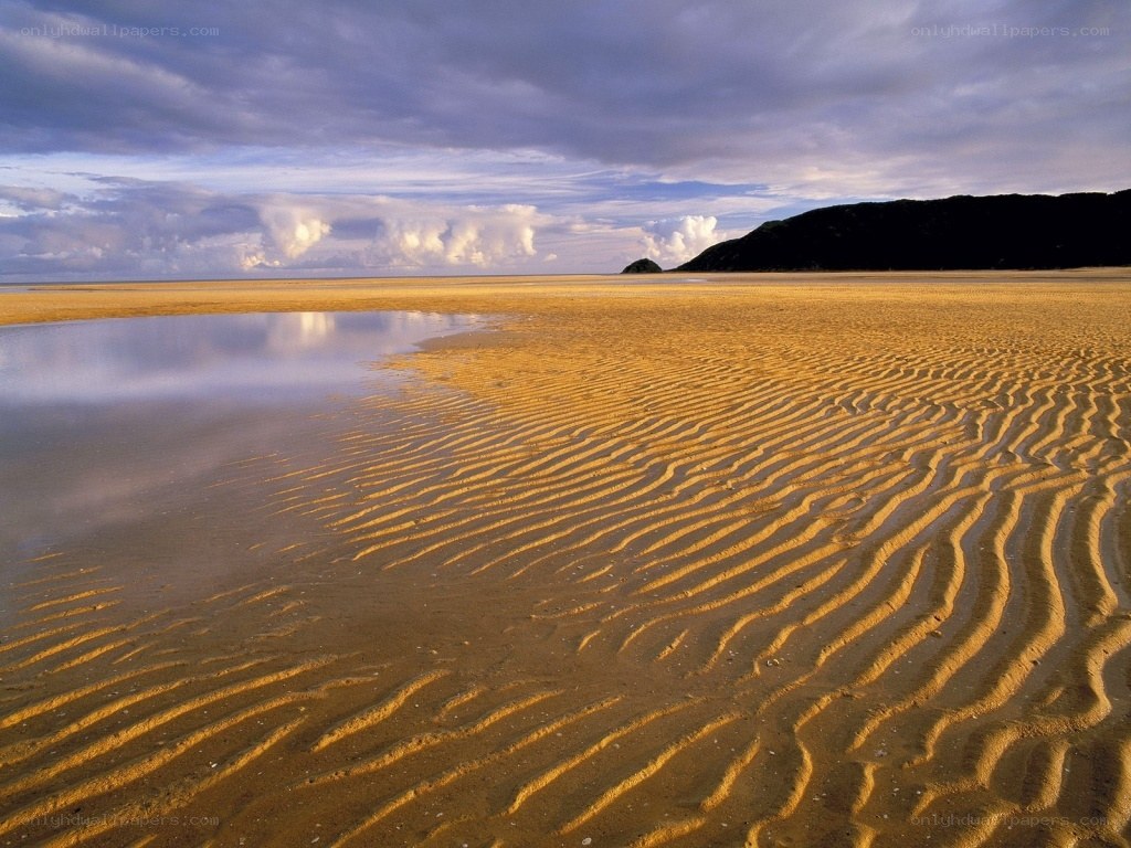 Rippled sand at low tide