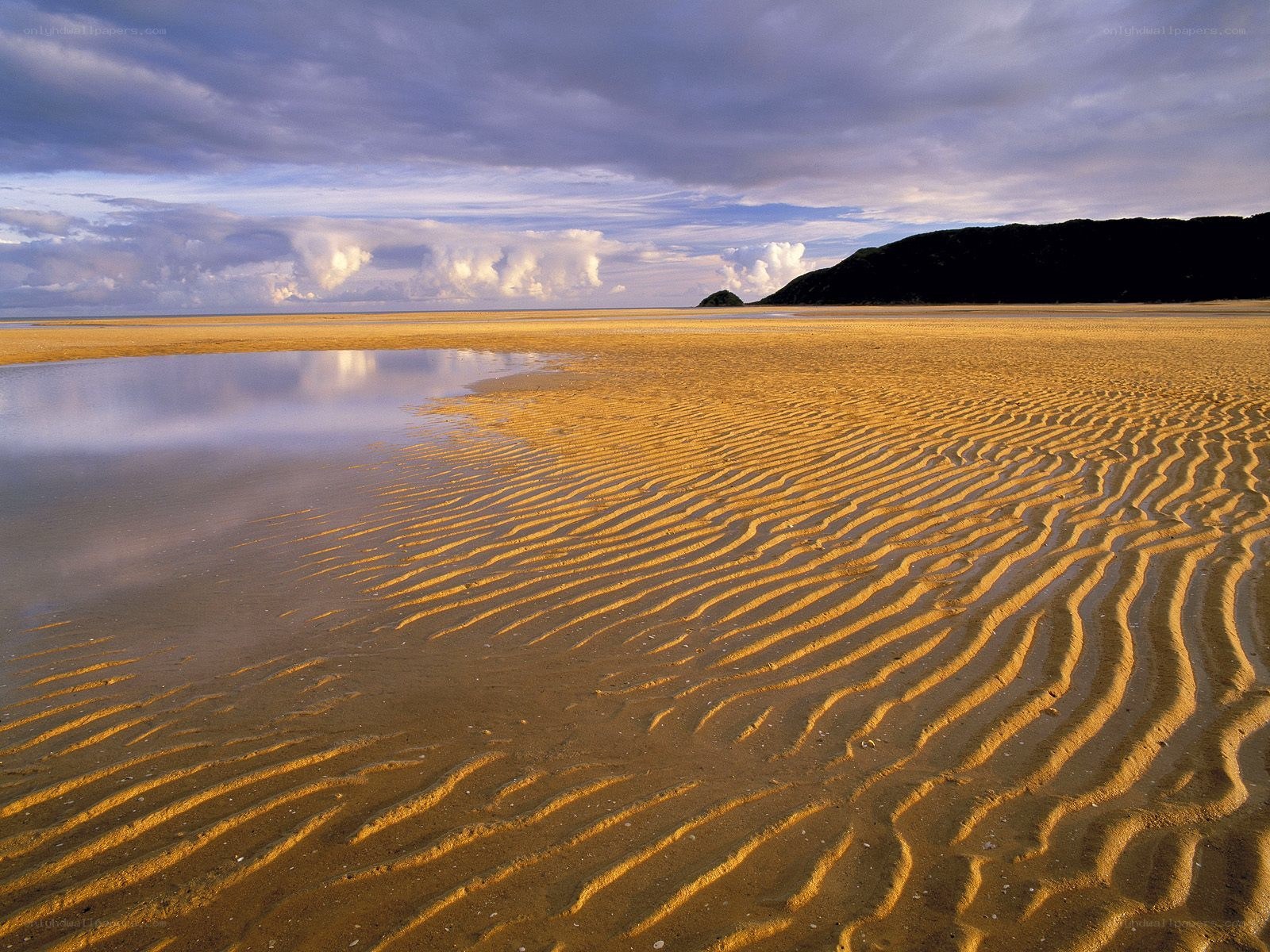 Rippled sand at low tide