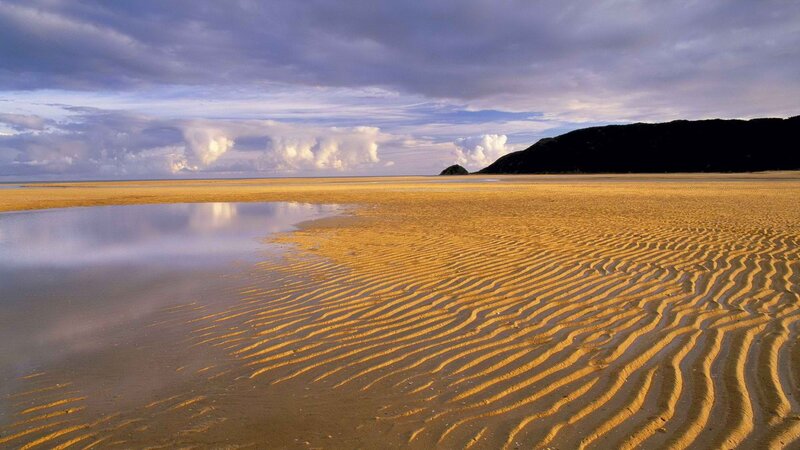 Rippled sand beach at low tide