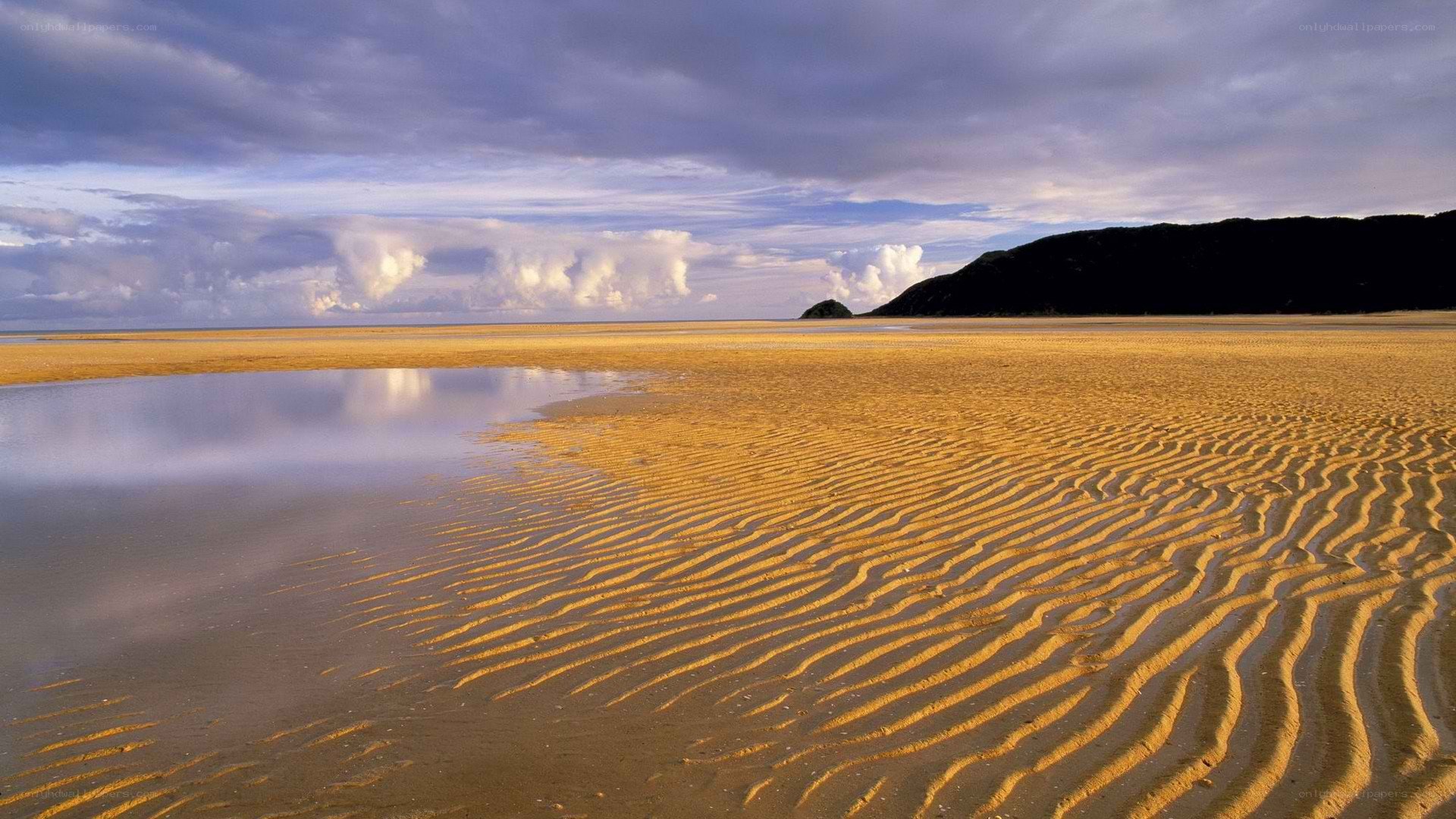 Rippled sand beach at low tide