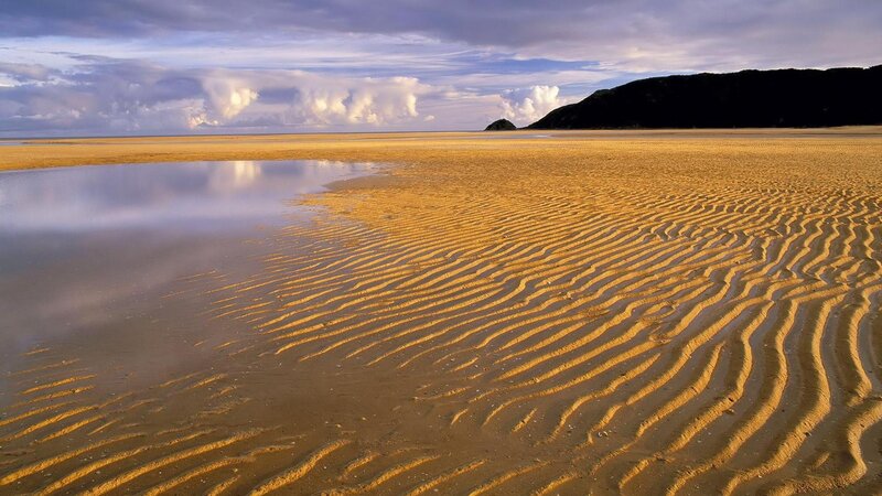 Rippled Sand Beach — Brown