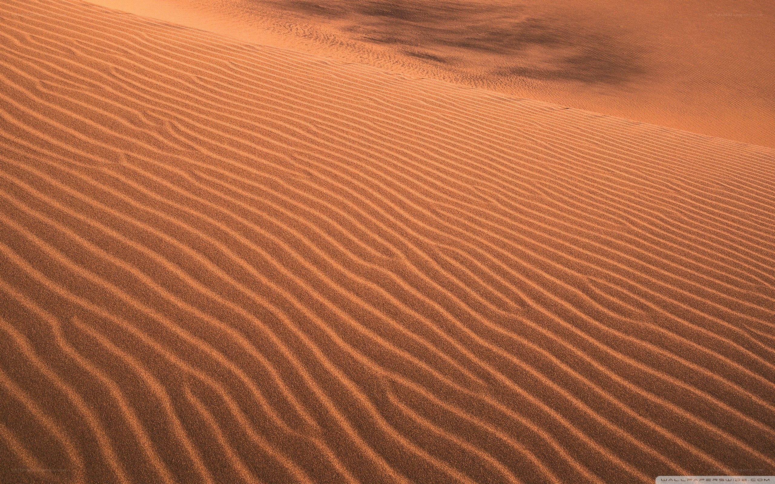 Rippled sand dunes at sunset