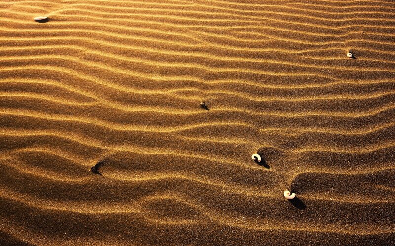 Rippled sand dunes at sunset