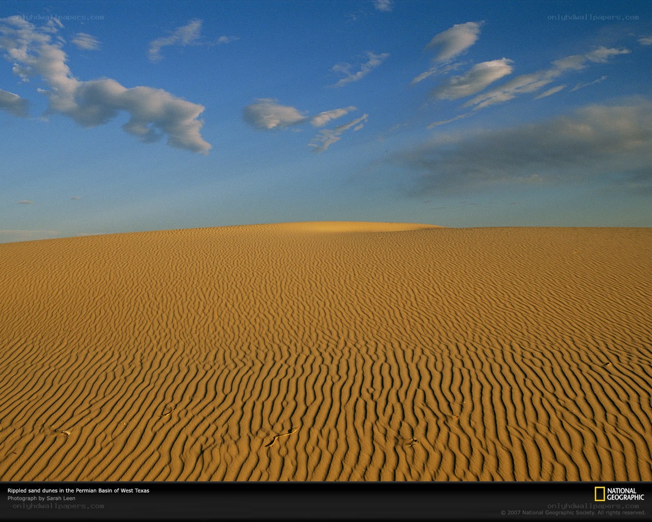 Rippled sand dunes in Texas